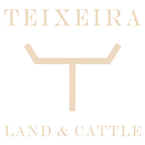 Teixeira Land & Cattle logo